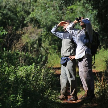 Sendero de la Huella Guaraní 23 Feb 2020!