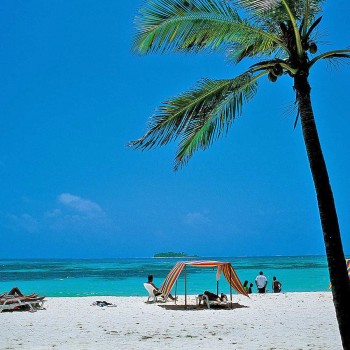 San Andrés - MAYO y JUNIO