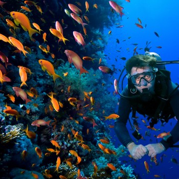 Buceo en Honduras