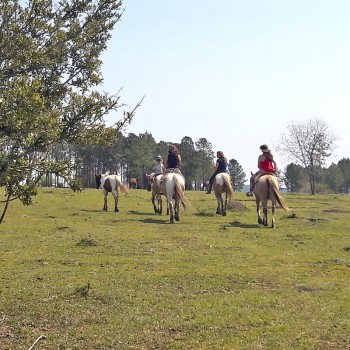 DÃa de campo en Haras Itapé